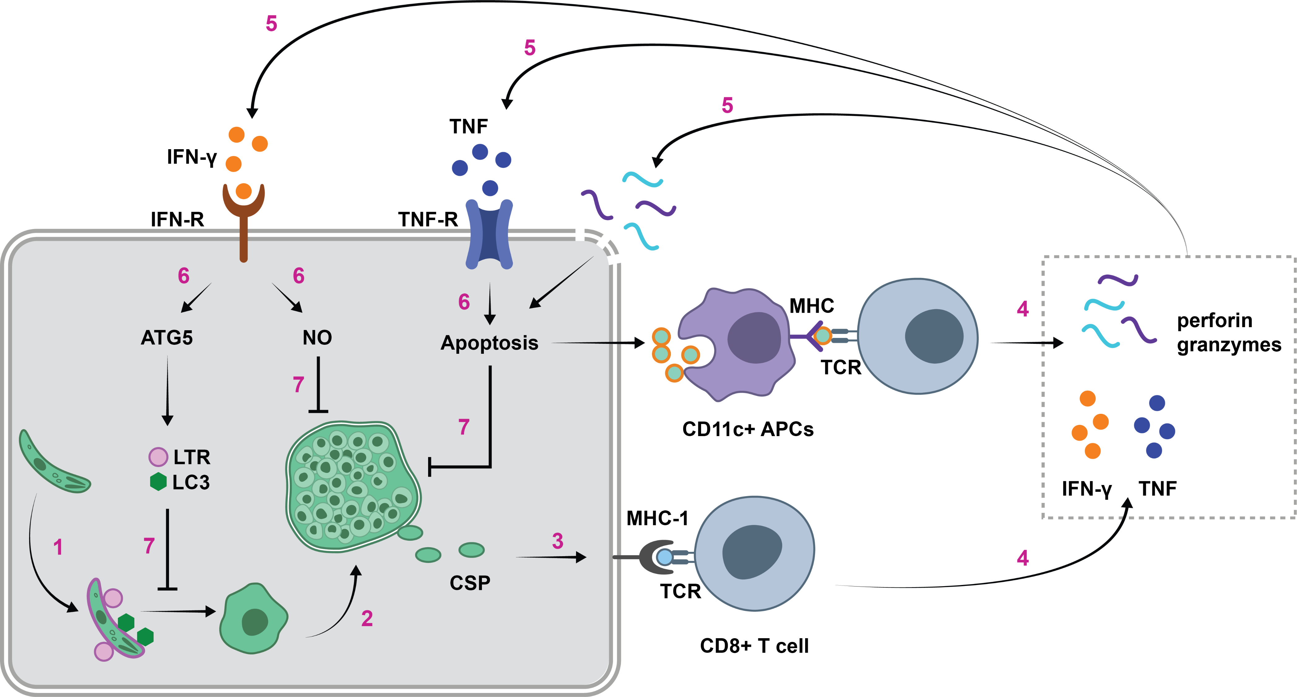 gallery/fig_3_final_gladstone-ts1646375109