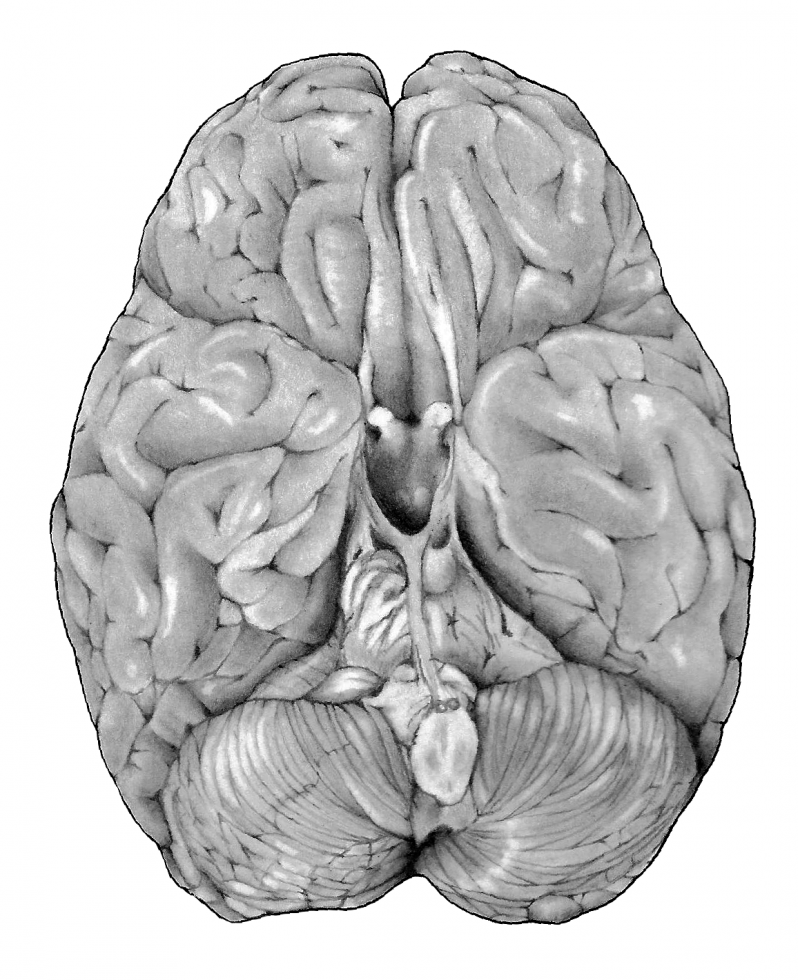 gallery/fig12_2_4-01