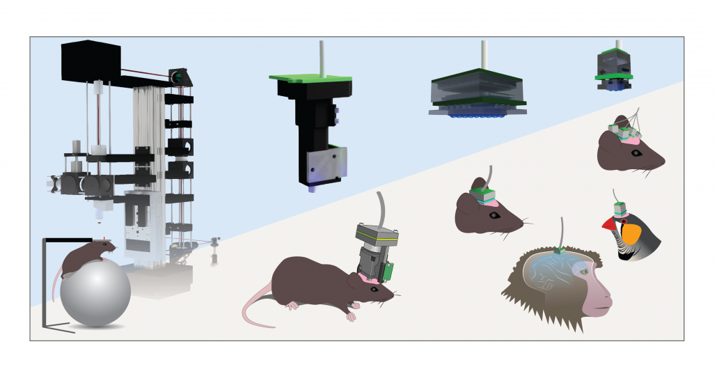 gallery/6_table_draft2-01